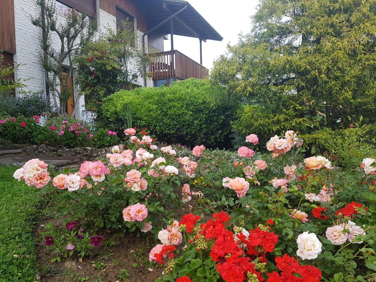 B&B Fontanella Curno Luaran gambar