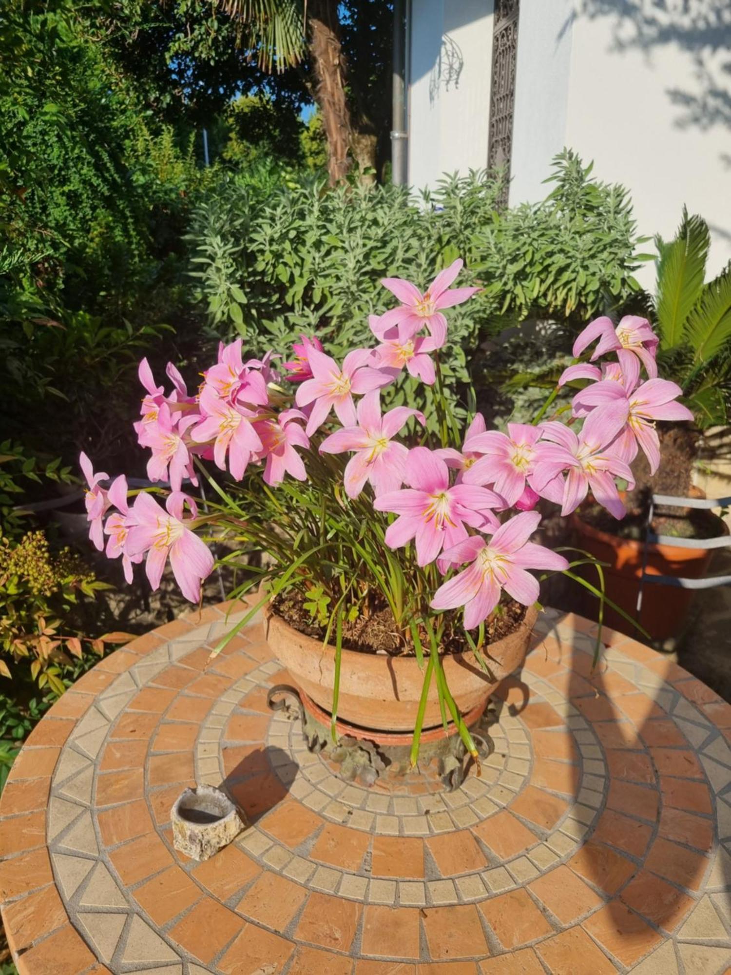 B&B Fontanella Curno Luaran gambar