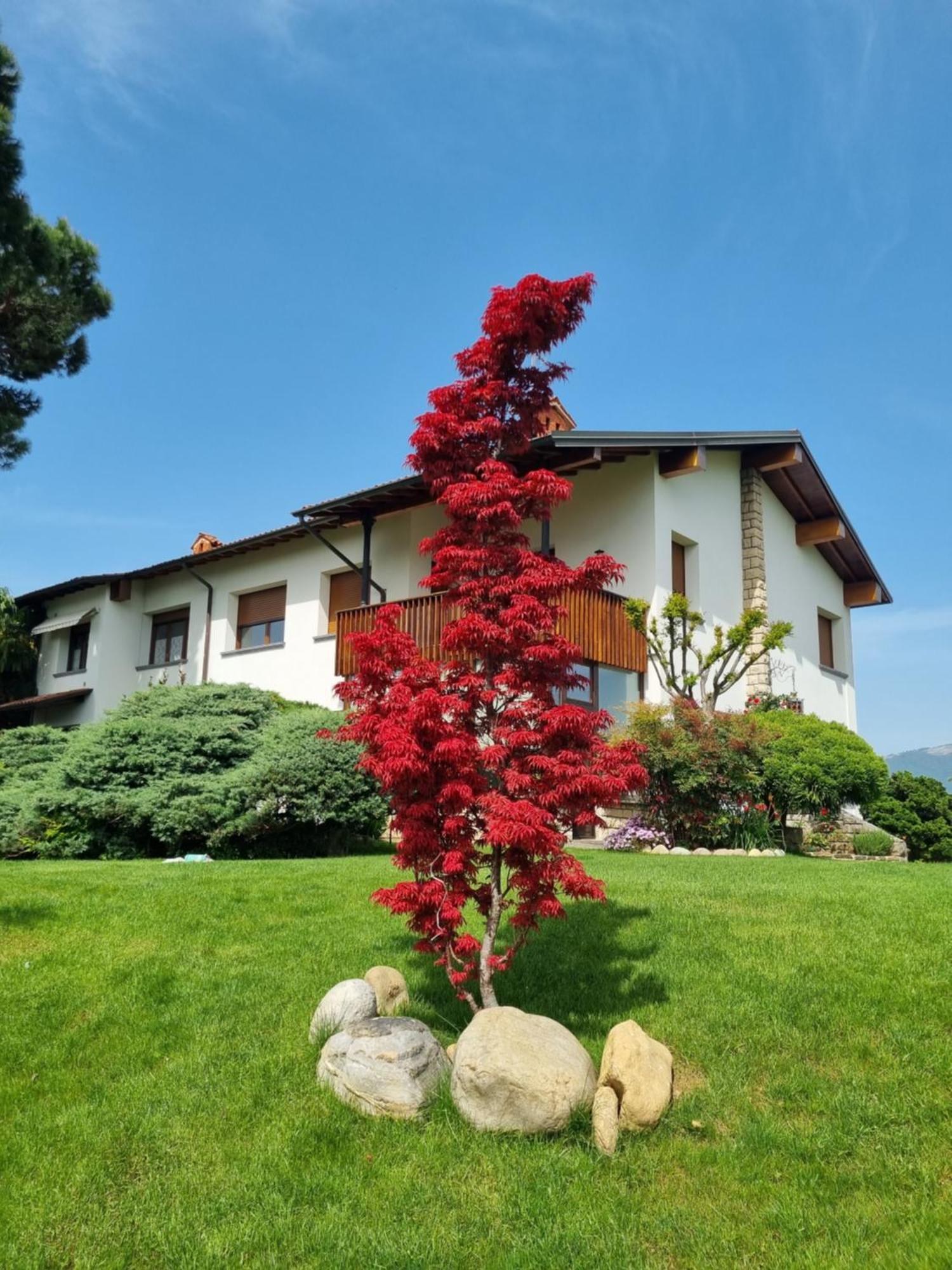 B&B Fontanella Curno Luaran gambar